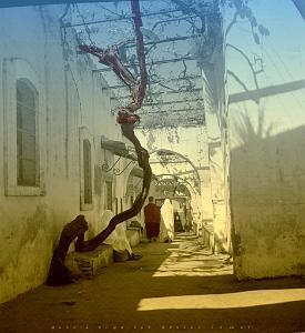 Tlemcen 504- Rue dans vieux Tlemcen COLLECTION DES AMIS DE ND DE SANTA CRUZ